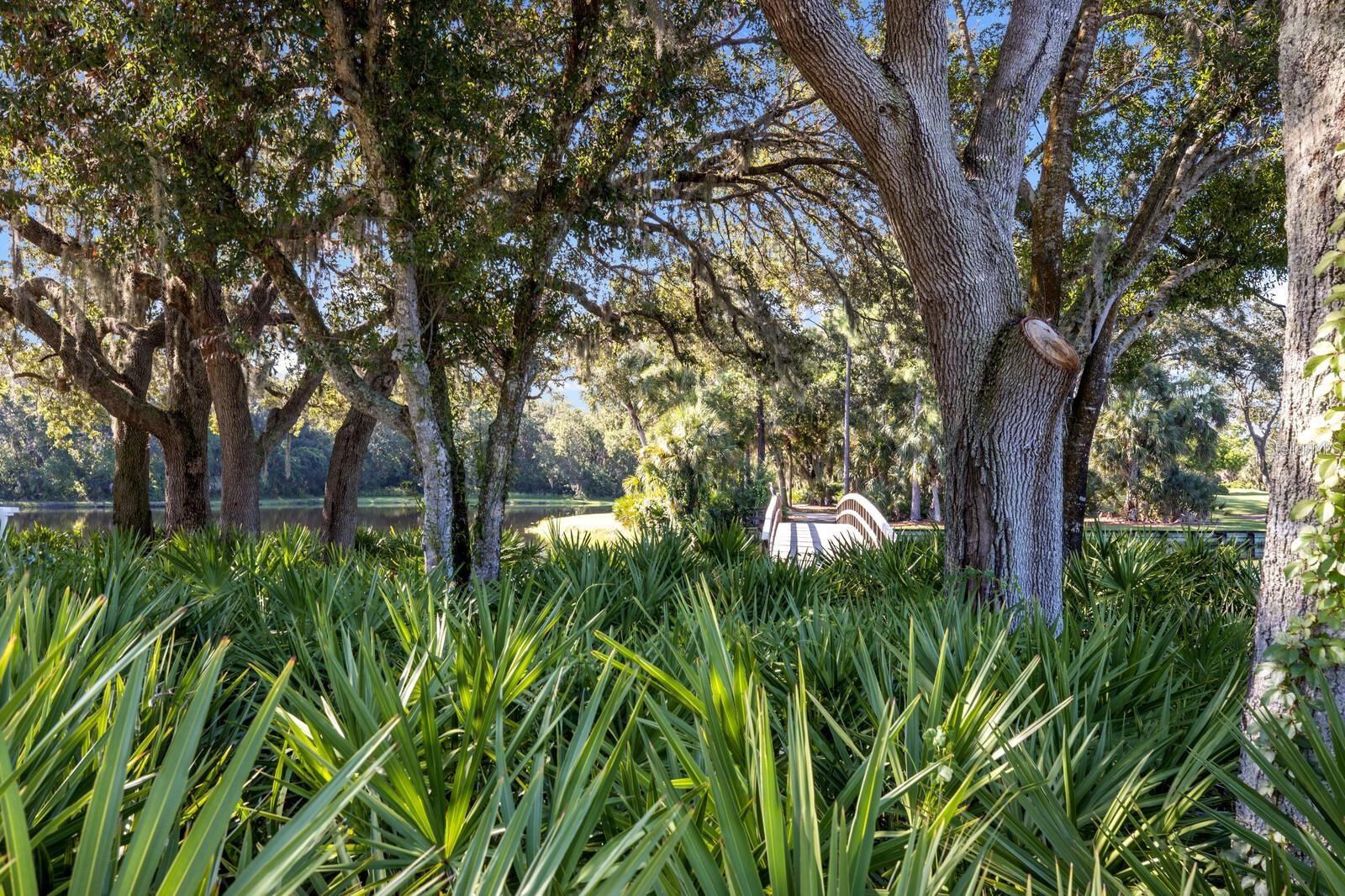 UNIVERSITY PARK - Residential