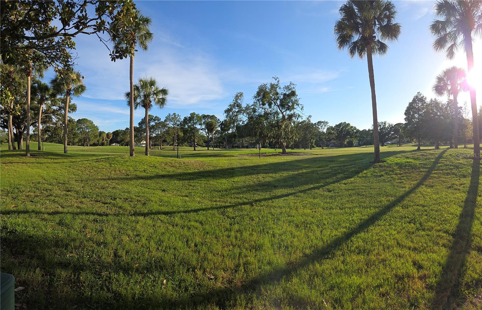 CARROLLWOOD VILLAGE GREENFIELD - Residential