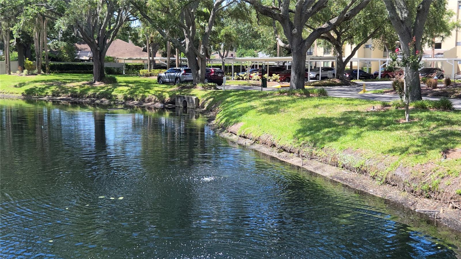 CARROLLWOOD VILLAGE GREENFIELD - Residential