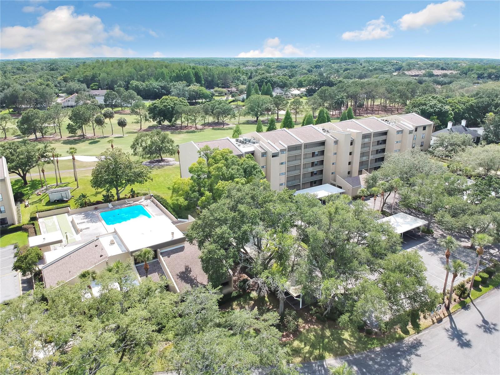 CARROLLWOOD VILLAGE GREENFIELD - Residential