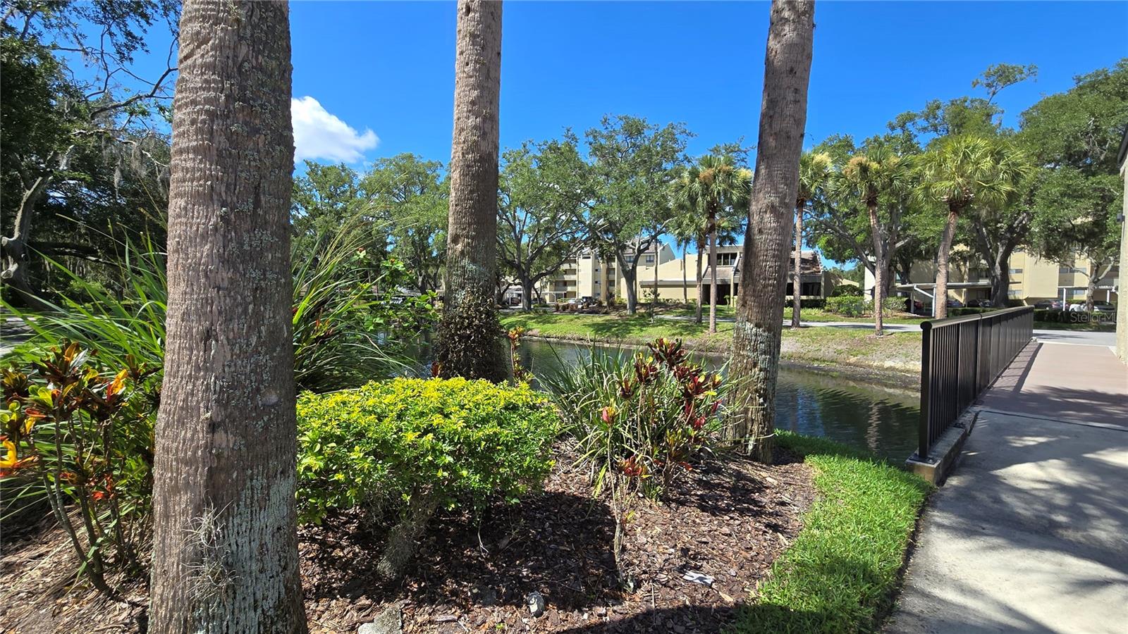 CARROLLWOOD VILLAGE GREENFIELD - Residential