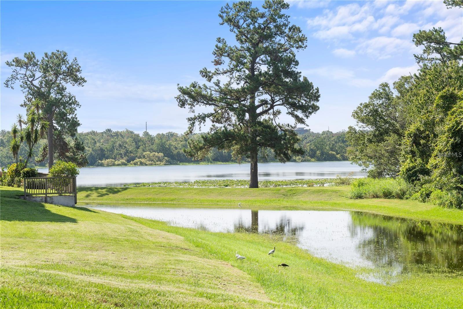 LAKE LOTUS CLUB 5 A CONDO REPLAT - Residential