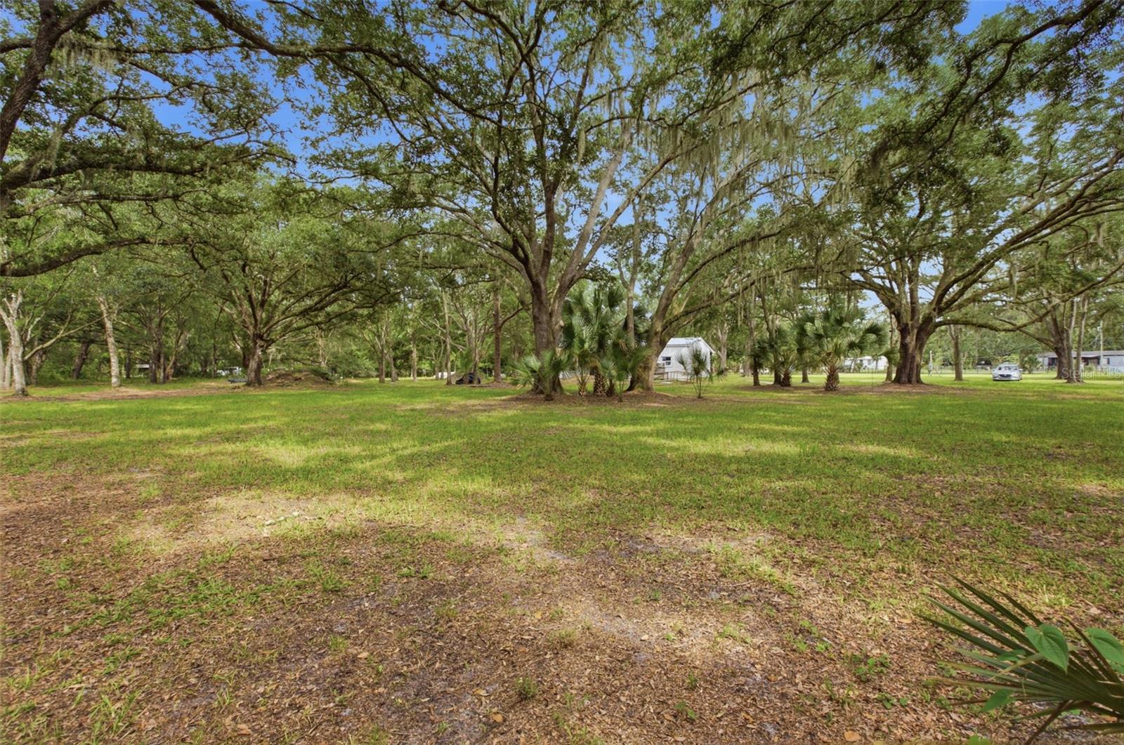 EAST ORLANDO UNREC - Residential