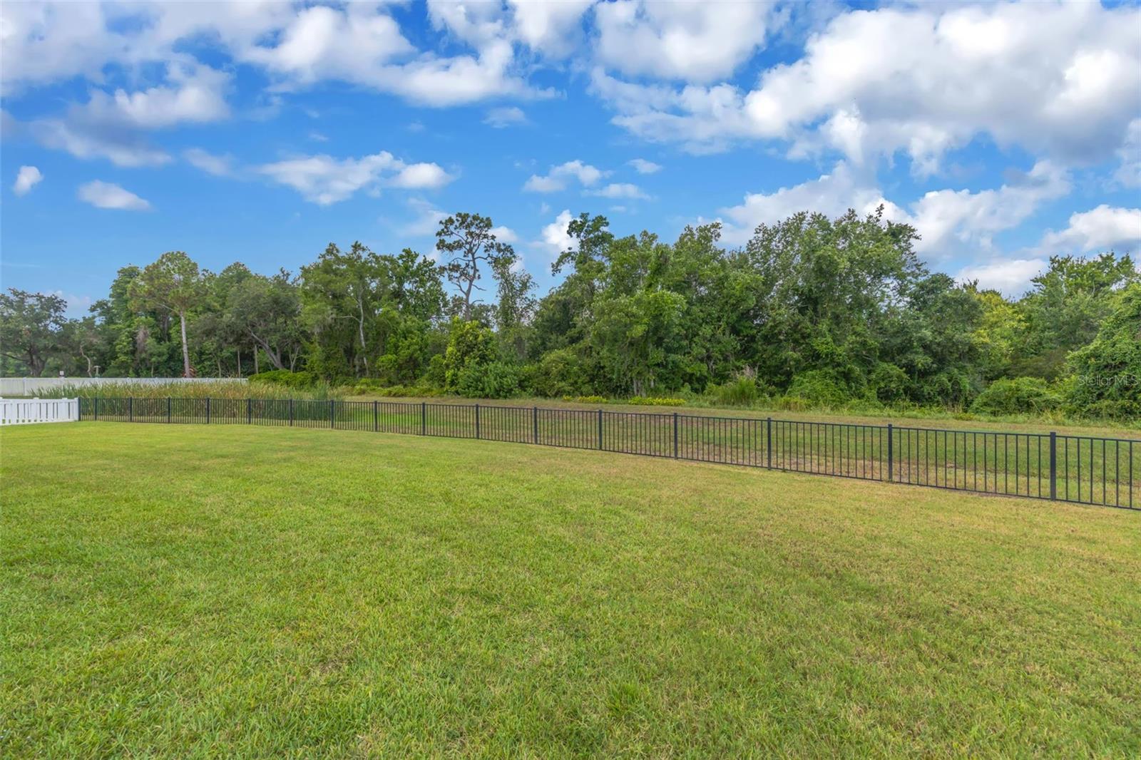 HIXON PRESERVE - Residential