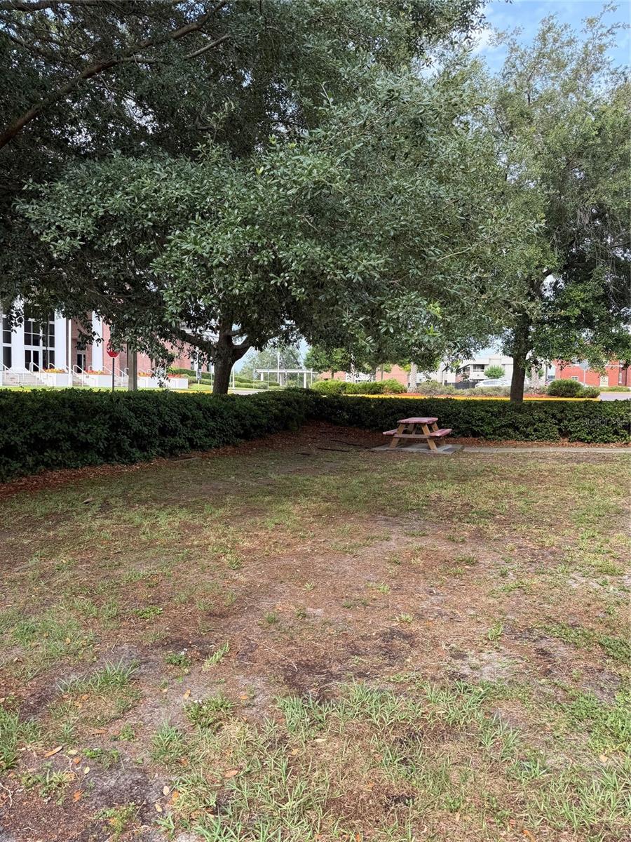 ALEXANDRIA OR OVIEDO - Commercial Sale