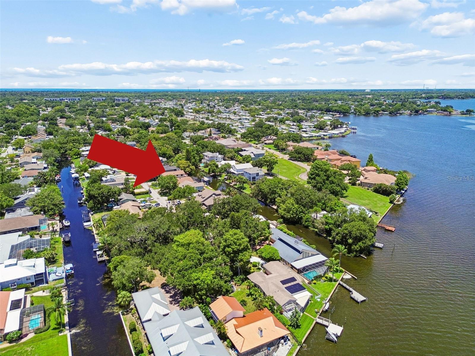 LAKE TARPON ESTATES - Residential