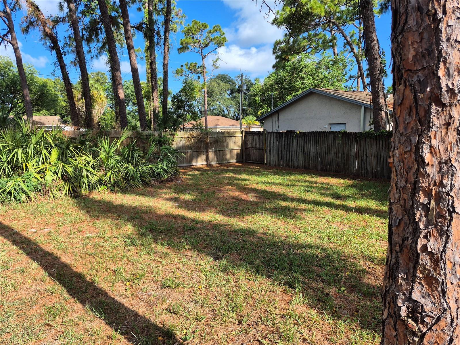 RICHEY LAKES - Residential Lease