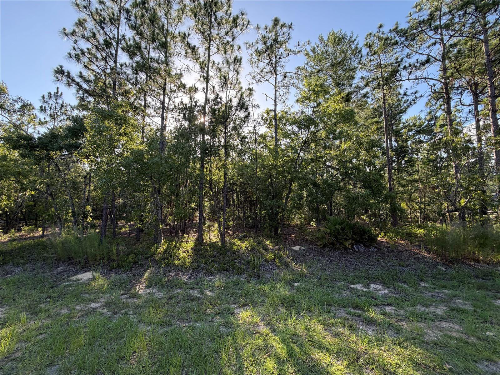 WILDWOOD COUNTRY ESTATES PH I - Land