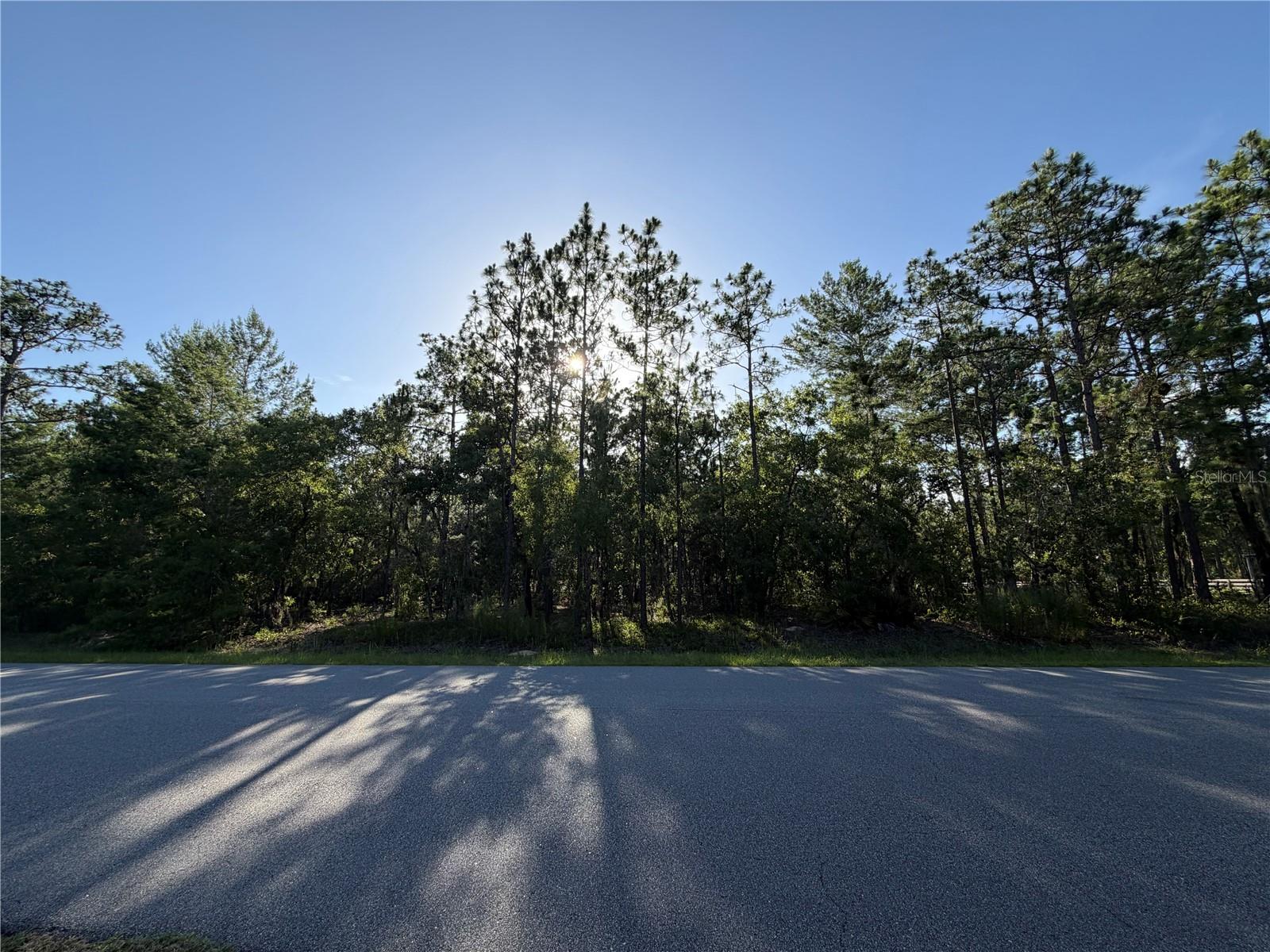 WILDWOOD COUNTRY ESTATES PH I - Land