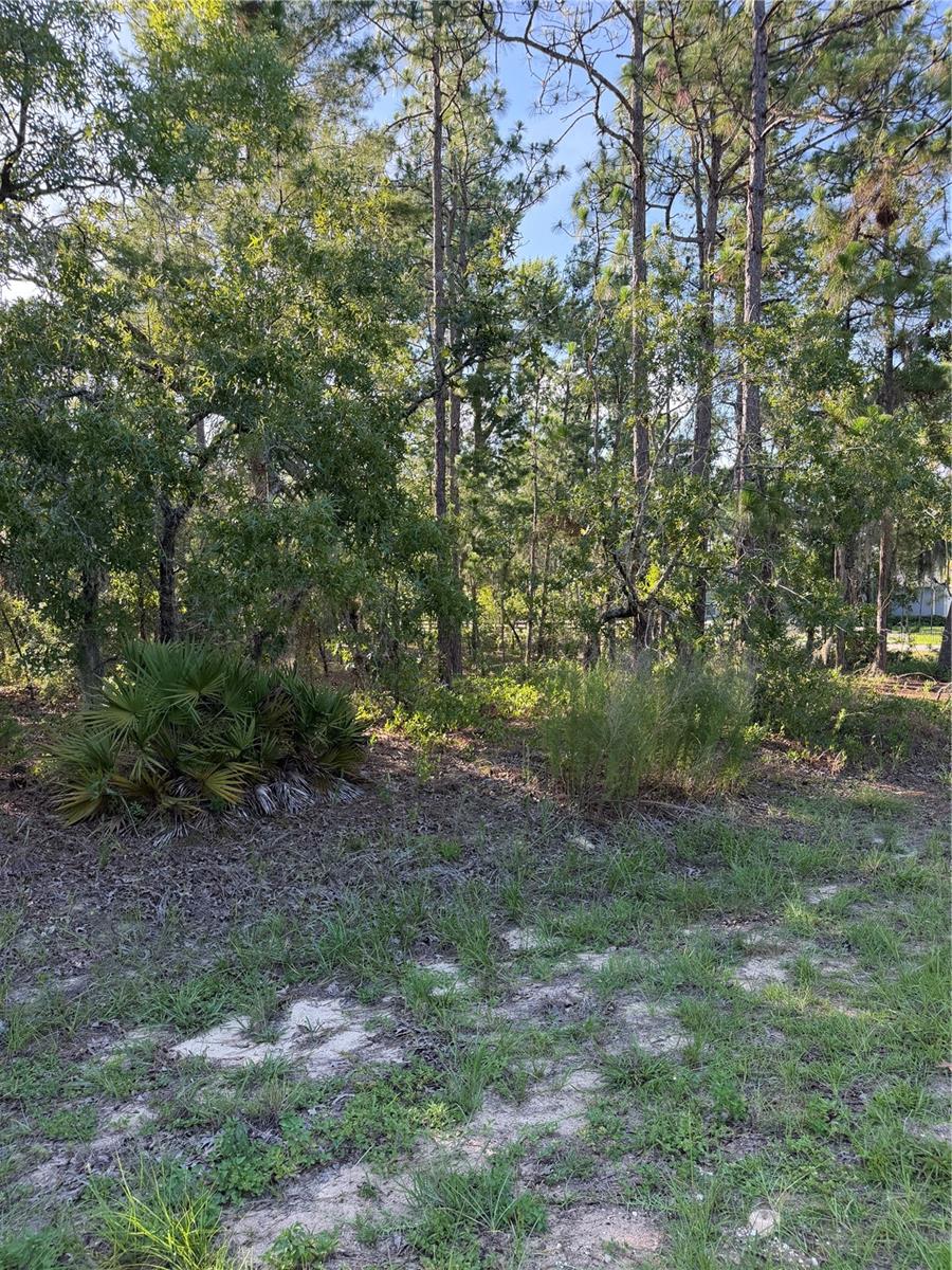 WILDWOOD COUNTRY ESTATES PH I - Land