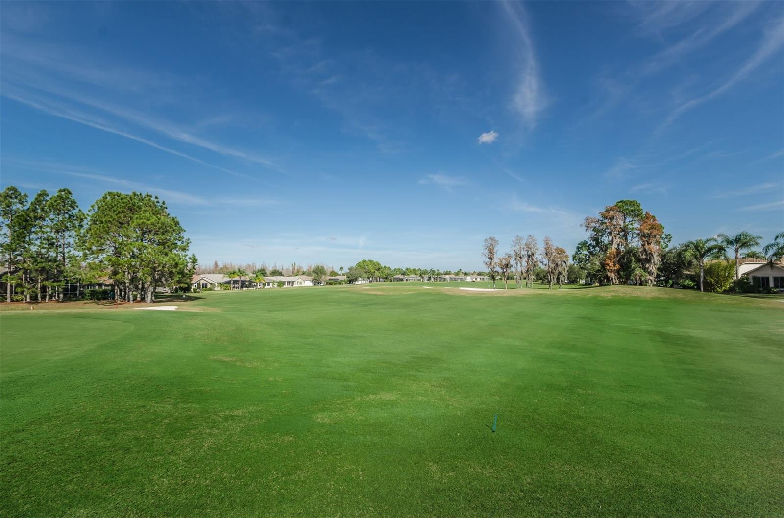 HERITAGE SPRINGS VILLAGE 24 & VILLAGE 24A - Residential