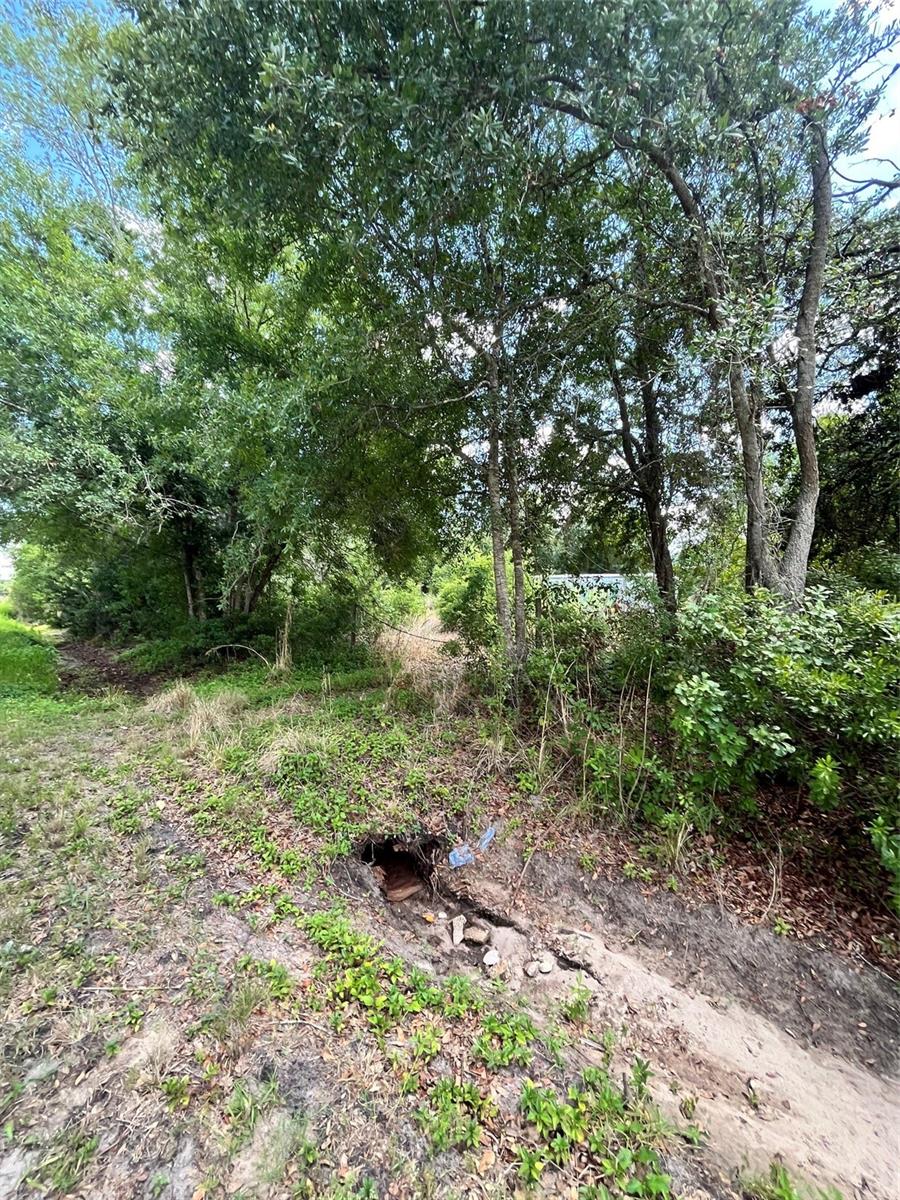 ESTATES DEL SOL UNIT 1 - Land