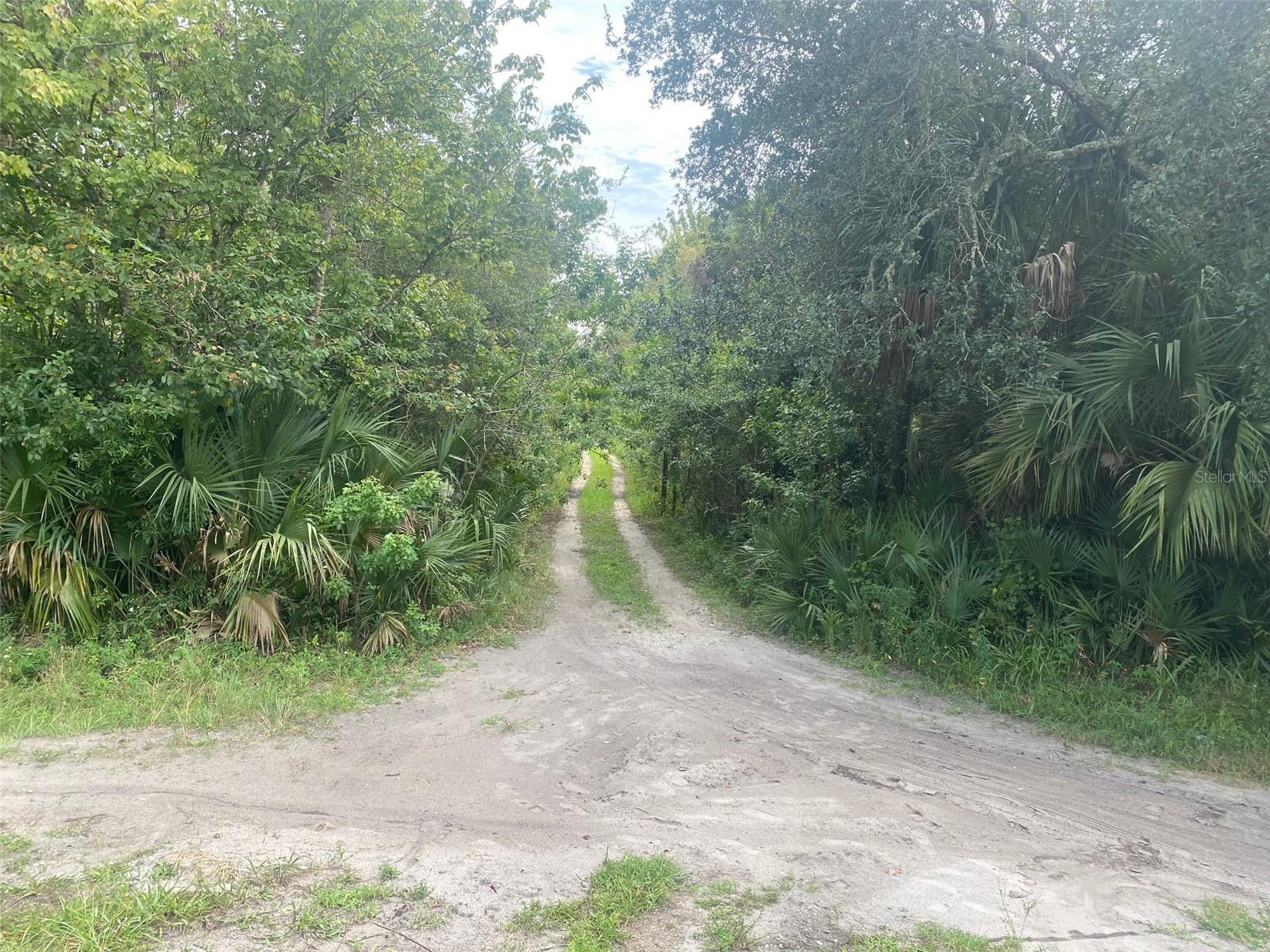 CANAVERAL GROVES SUB - Land