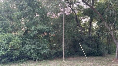 In Marion County, Florida, R-4 (Mixed Residential) zoning is a classification that permits a combination of single-family, two-family, and multiple-family dwellings. It is designed to accommodate a blend of housing types within medium-density neighborhoods.
Close distance to Ocala National Forest where you can go camping, backpacking, boating, nature viewing, picnicking, scuba diving, swimming, and walking the trail.