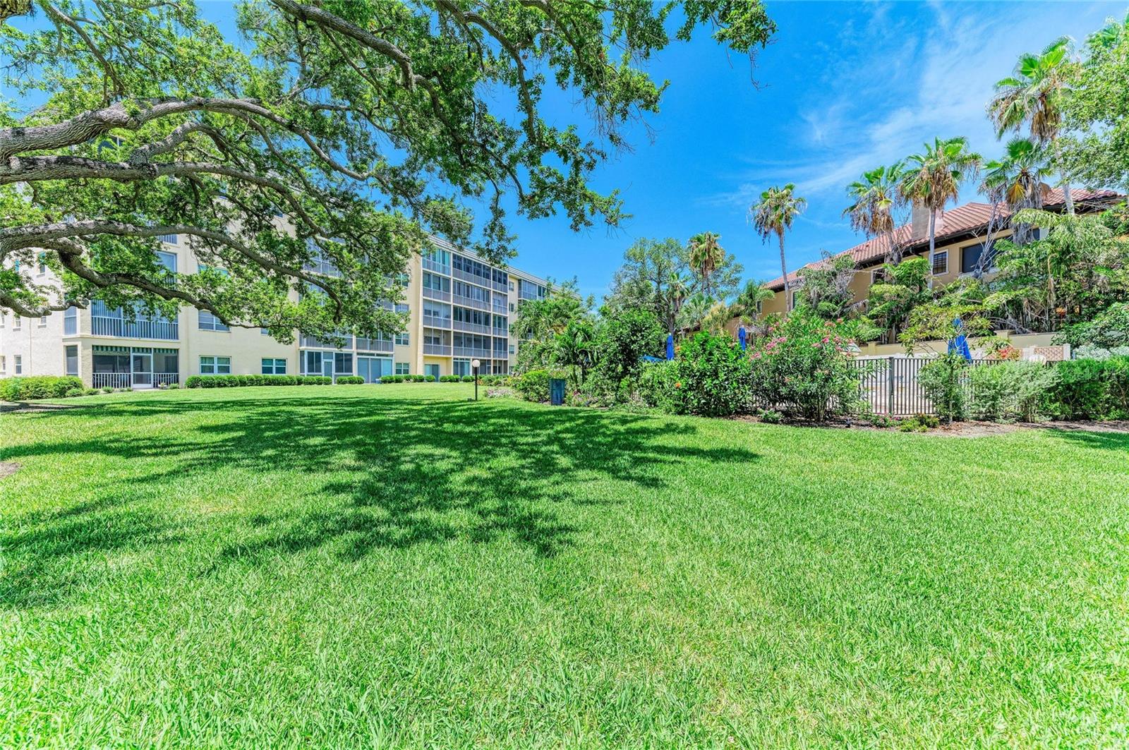 BAY TREE CLUB - Residential