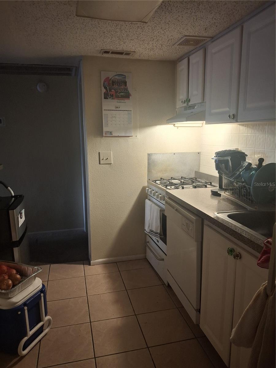 WATERSIDE AT CRANES ROOST A CONDO COMMUNITY - Residential