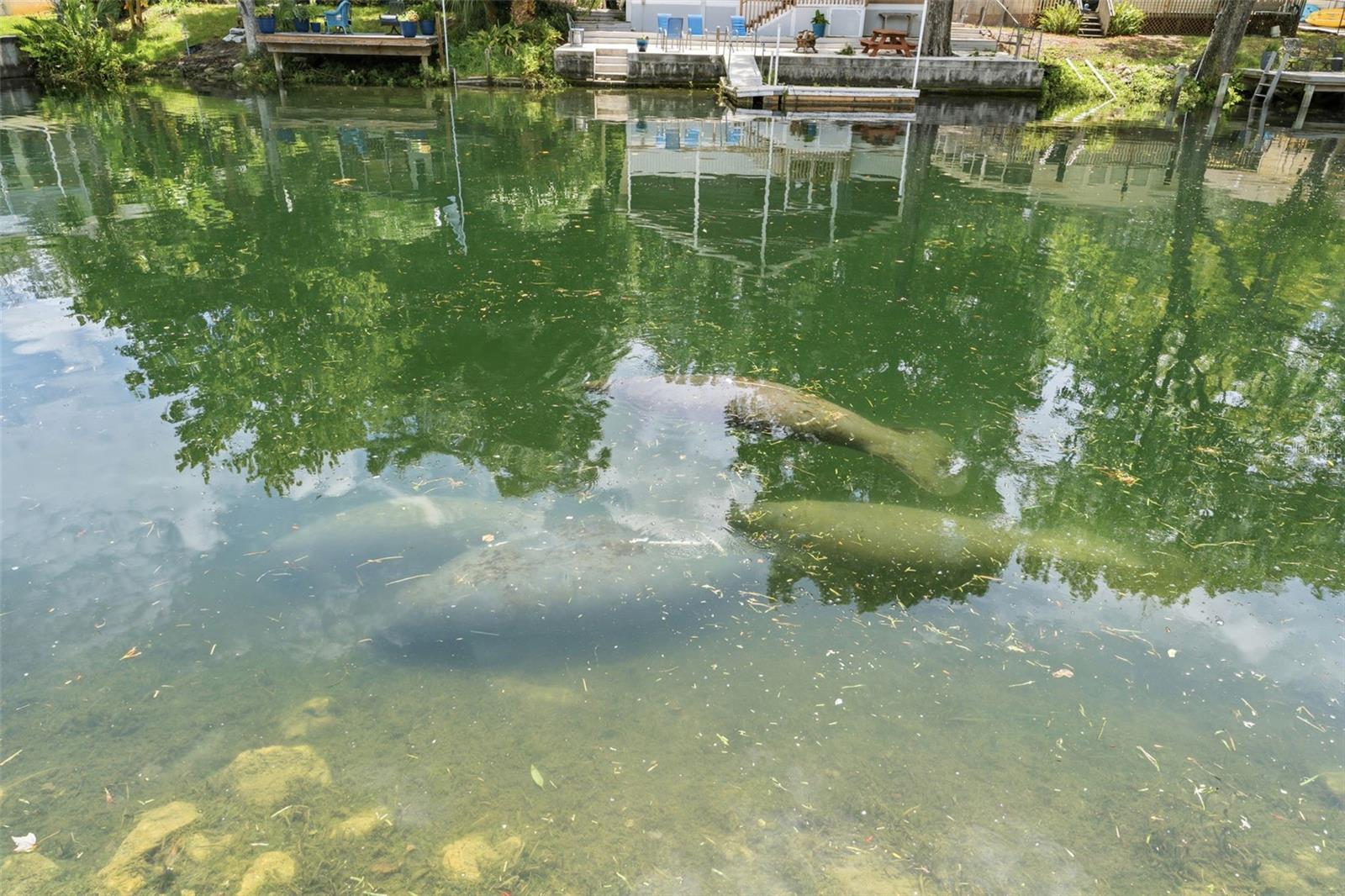 WEEKI WACHEE RIVER RETREATS - Residential