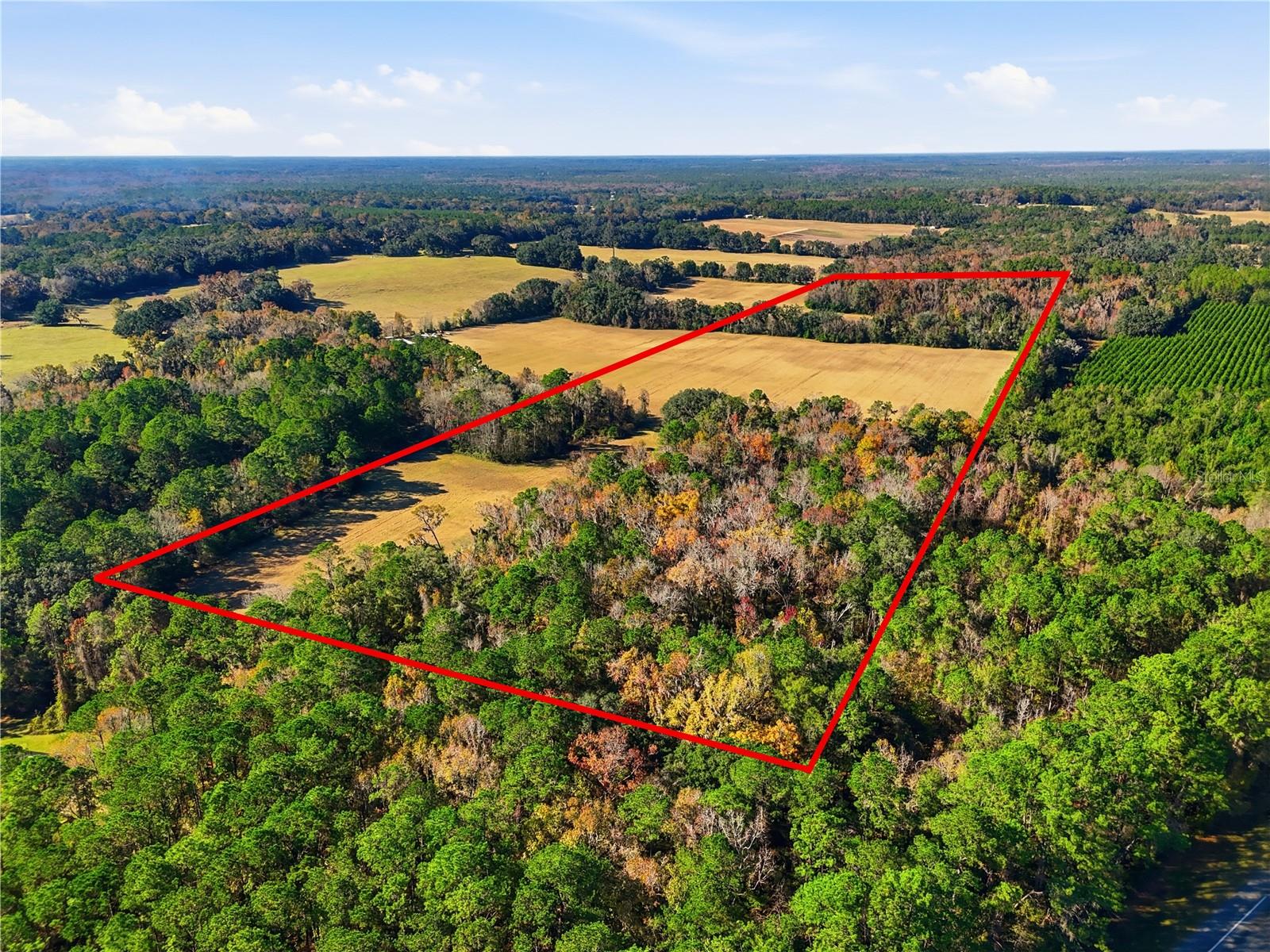 A rare find in High Springs, this 39.91 acre property blends usable farmland with wooded privacy and real topography, something not often seen on typical flat Florida acreage. Roughly 20 acres of established hay field offer immediate agricultural income, while the remaining 20 acres of mature hardwoods, thick with oak, provide excellent wildlife habitat. Deer and turkey are regular visitors.
The rolling elevation is a standout feature, delivering panoramic views across neighboring farmland and open countryside that are hard to come by in this part of the state. A few old sink holes sit within the wooded portion of the property, a common and natural characteristic of this area and consistent with surrounding land.
Location is a major asset here. The property sits just minutes from the I75 onramp, putting commutes to Gainesville and Lake City well within easy reach. Outdoor access is just as convenient, with Oleno State Park, the Santa Fe River, and several area springs only minutes away. This is an ideal setting for horseback trail riding, ATV recreation, hunting, or simply enjoying the natural landscape High Springs is known for.
Whether you're looking to run cattle, keep horses, start a homestead, build a hunting retreat, or design a custom estate, this property offers the flexibility and setting to make it happen. Build your dream home on high ground with sweeping views and the privacy of mature woods at your back.
A diverse, productive, and well located piece of High Springs land, ready for its next owner.