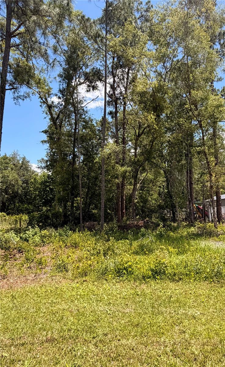 RIDGE MANOR ESTATE - Land