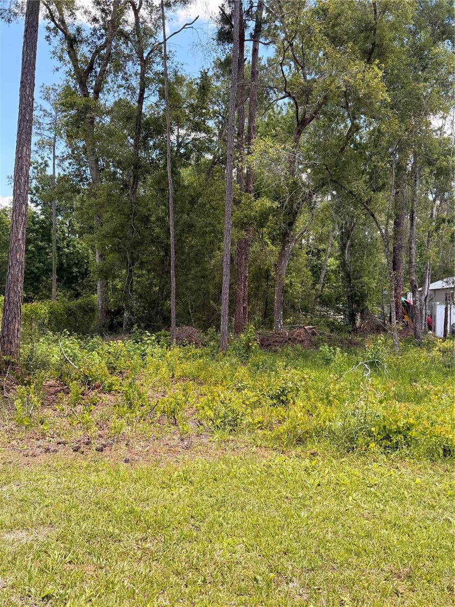 RIDGE MANOR ESTATE - Land