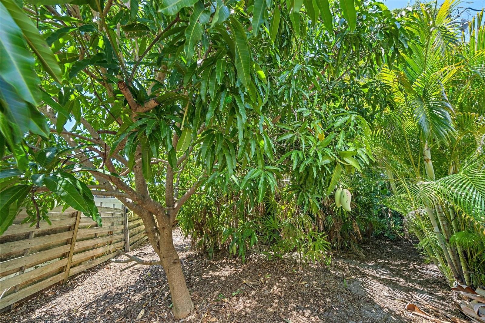 SOUTH GATE - Residential