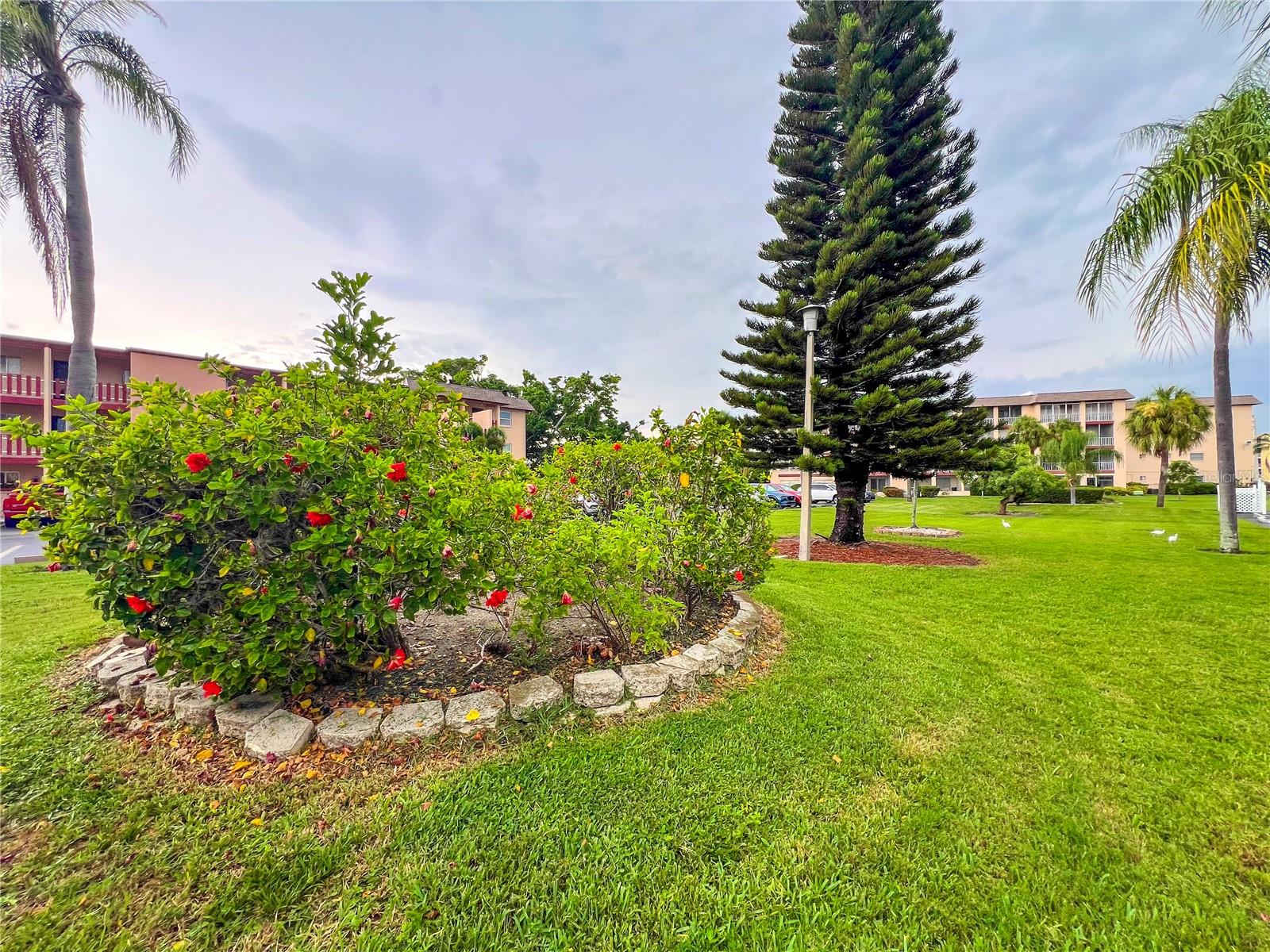 BAYSHORE ON THE LAKE APTS SEC 1 - Residential