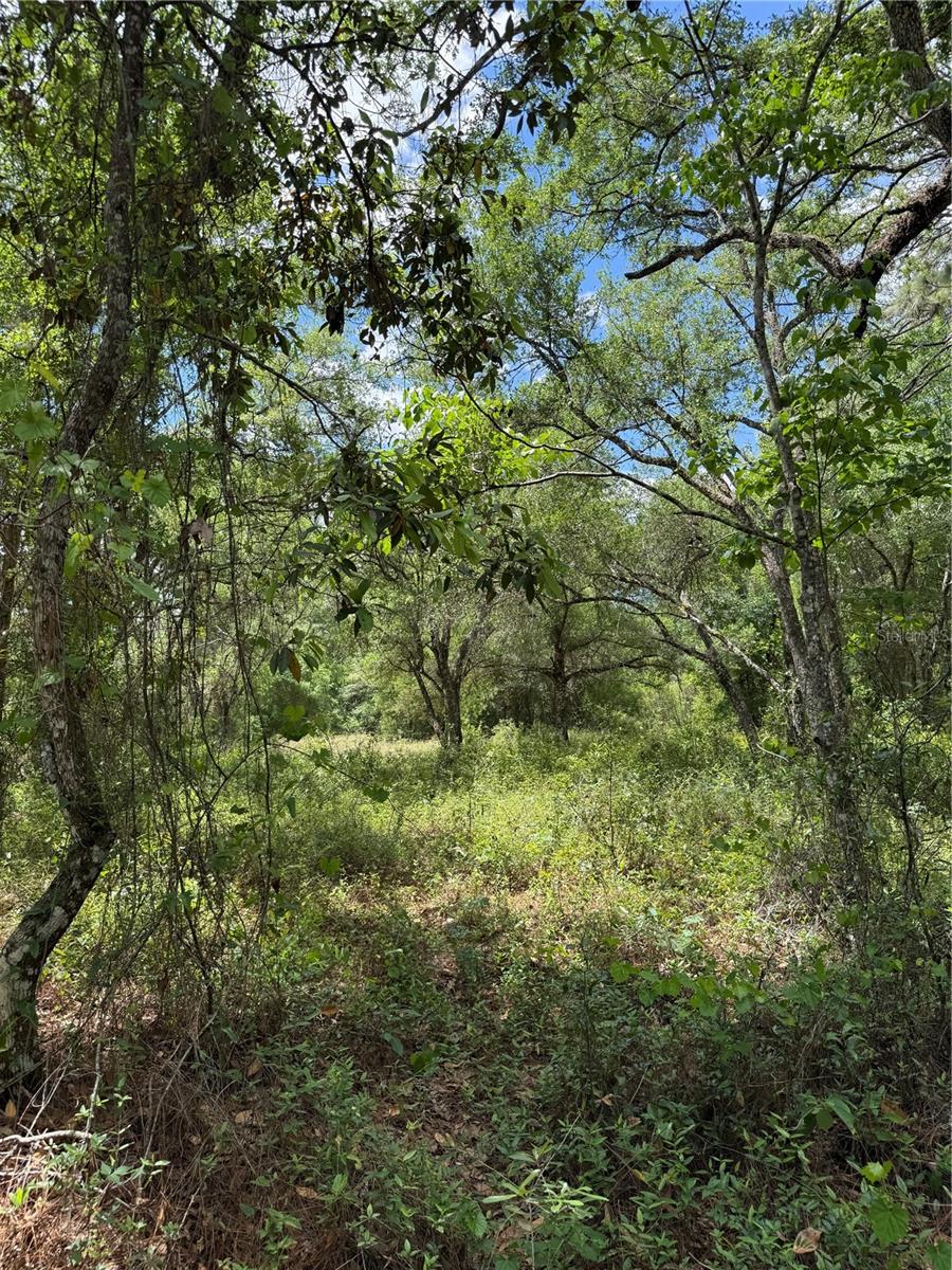 RIDGE MANOR ESTATE - Land