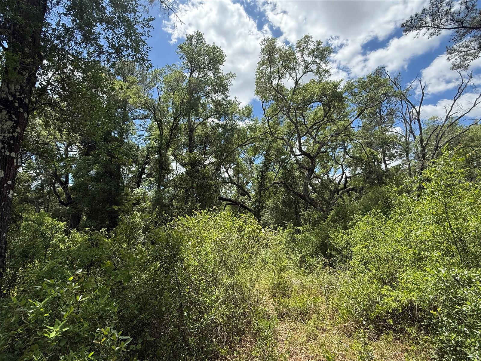 RIDGE MANOR ESTATE - Land