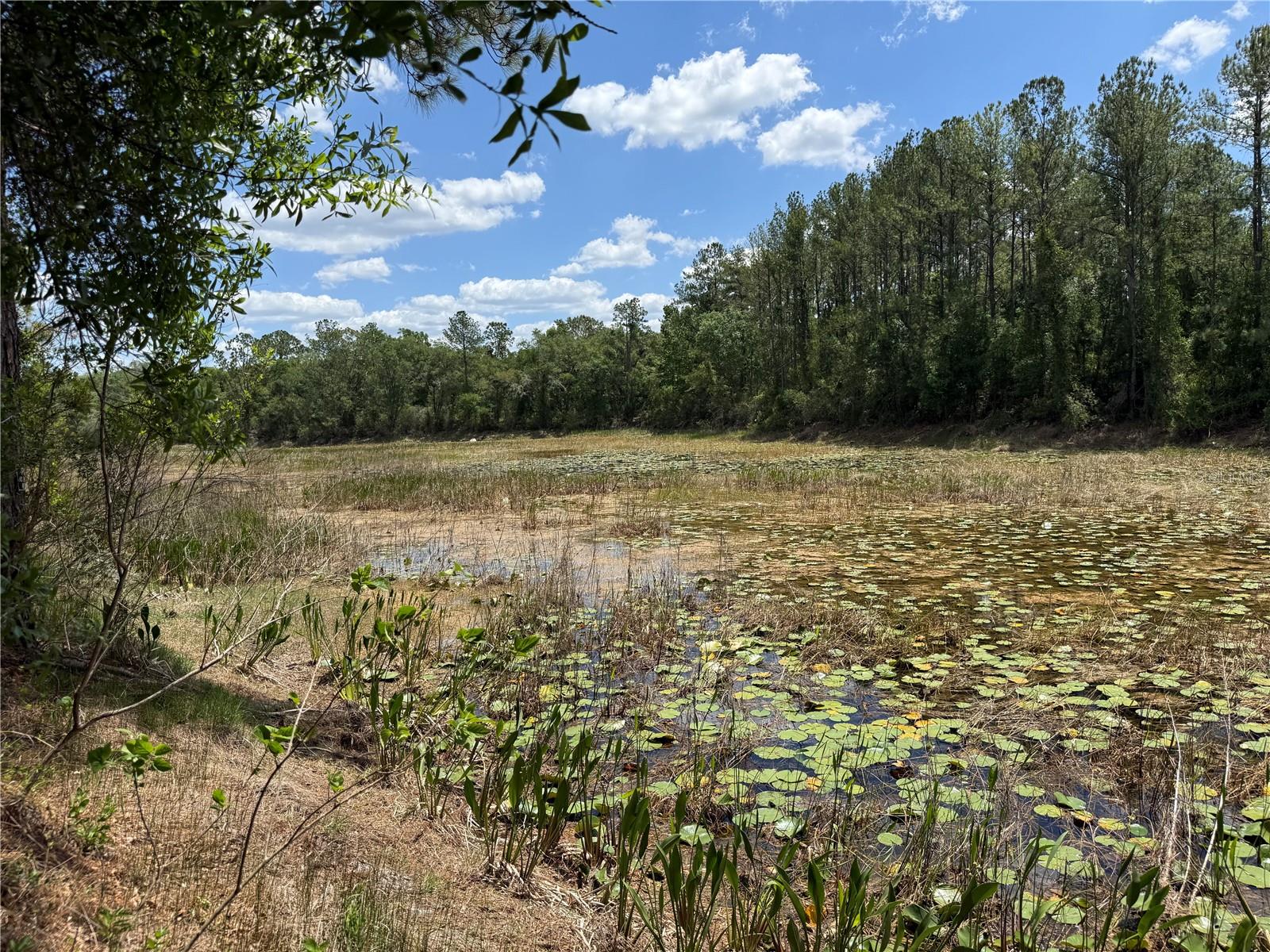 RIDGE MANOR ESTATE - Land