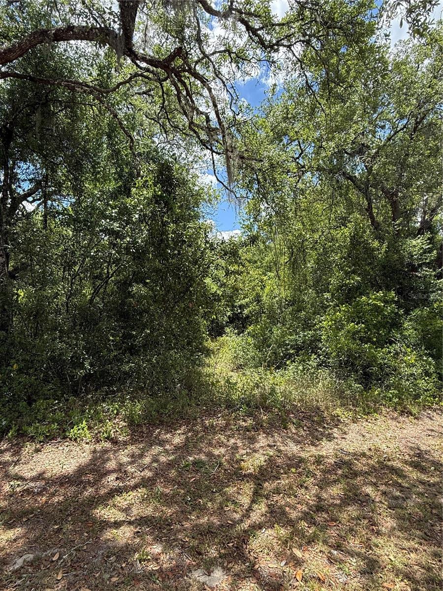 RIDGE MANOR ESTATE - Land