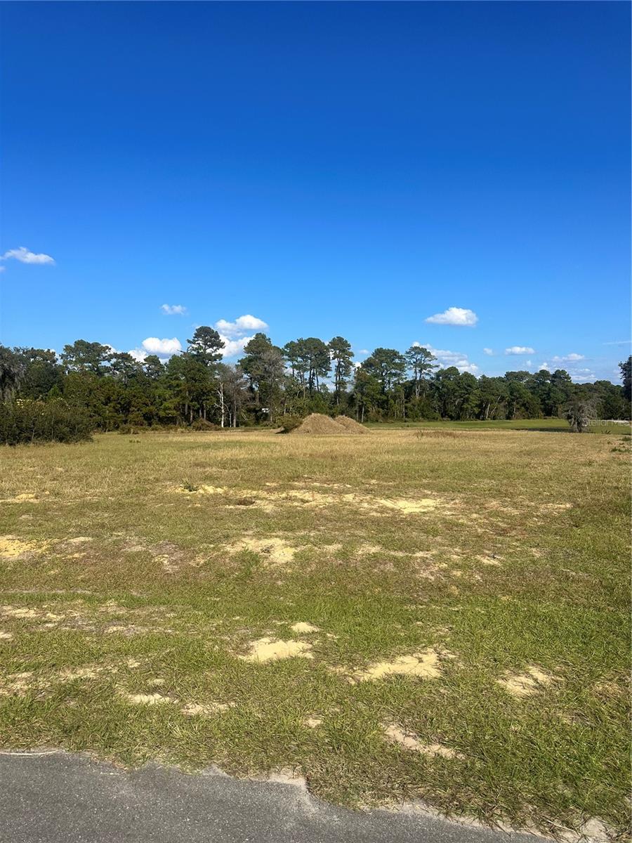 SHORELINE RANCH - Land