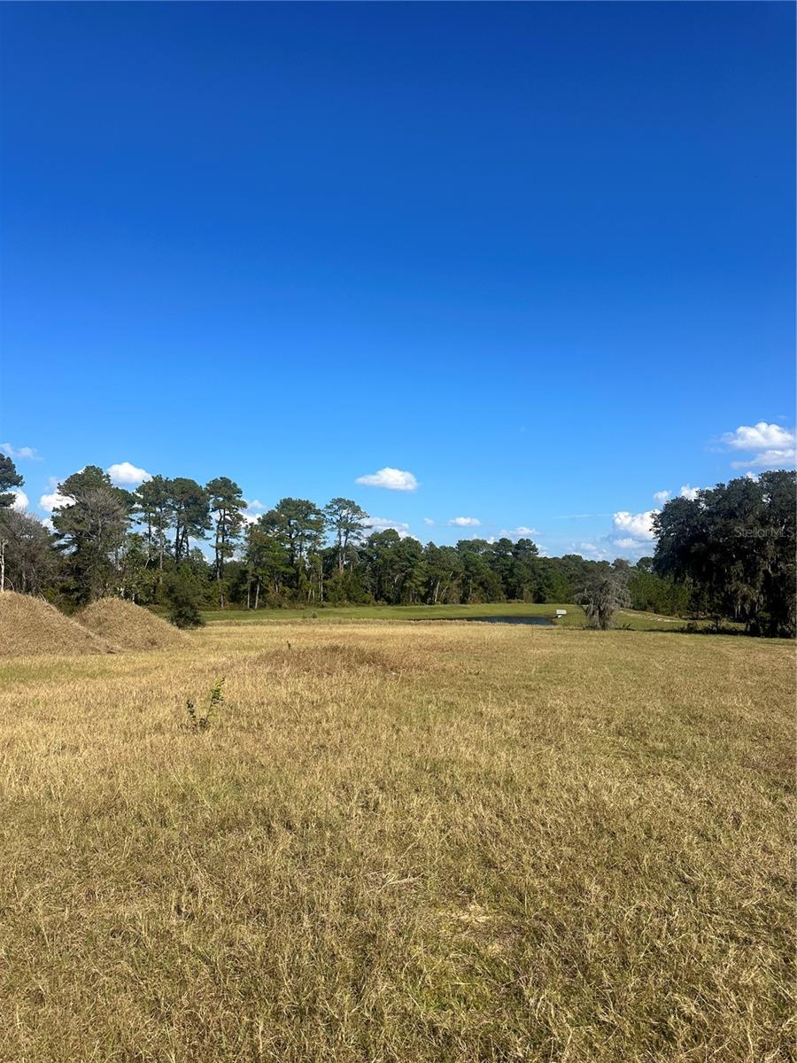 SHORELINE RANCH - Land