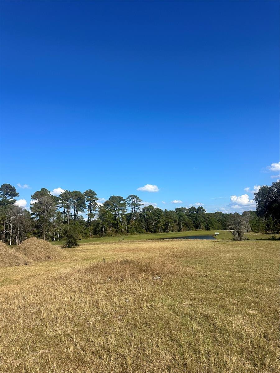 SHORELINE RANCH - Land