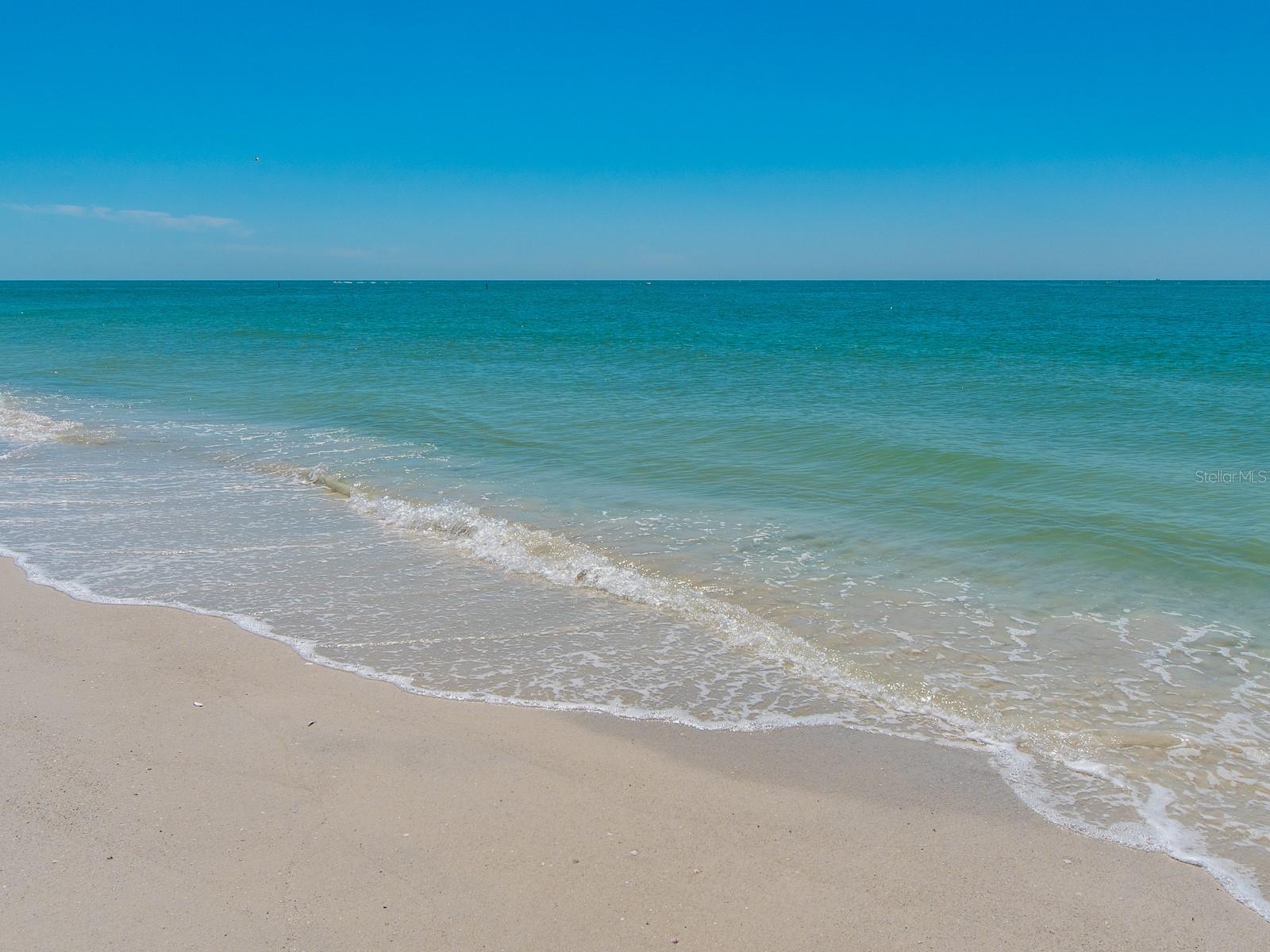 SAND KEY CONDO-SOUTH BEACH - Residential