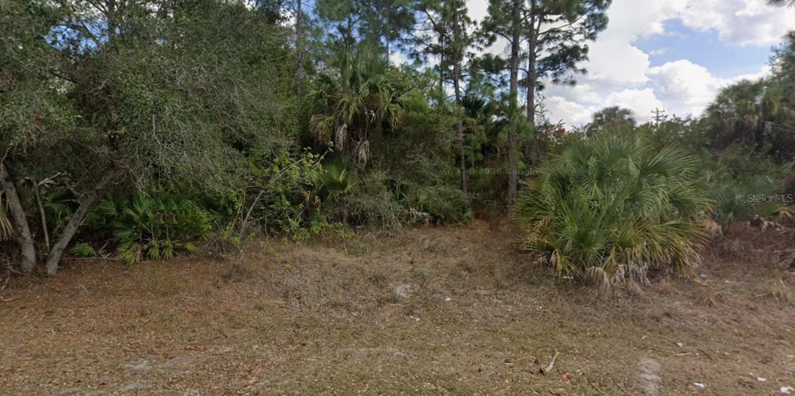 LEHIGH ACRES - Land