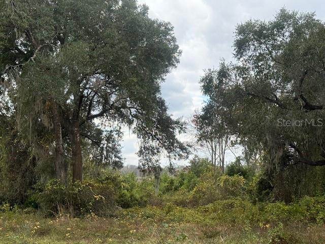 SILVER SPGS VILLAGE - Land