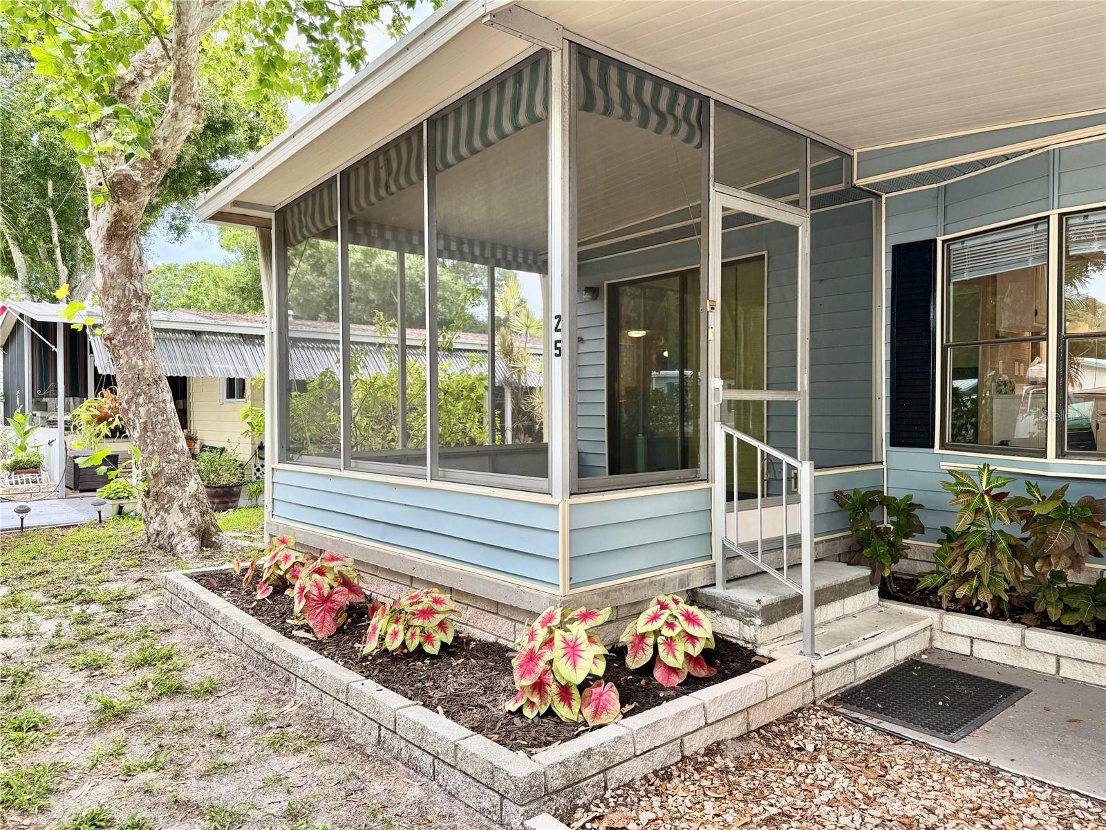 PINELLAS GROVES - Residential