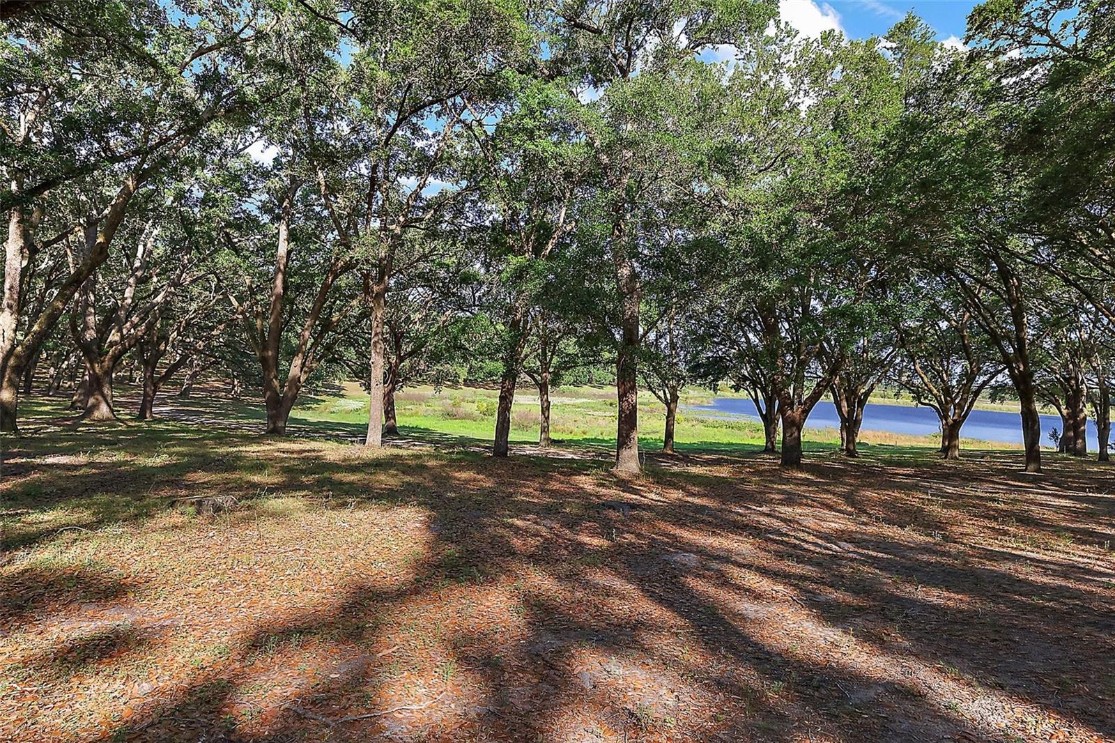 NICOTOON LAKE - Residential