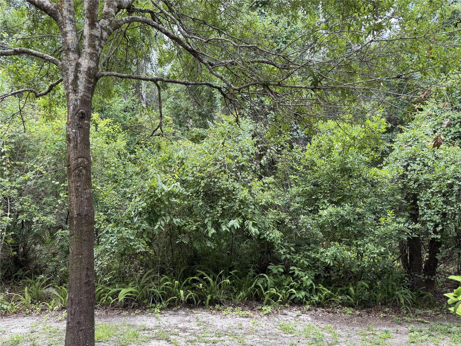 CHARLESTON PLACE TOWNHOMES - Residential Lease