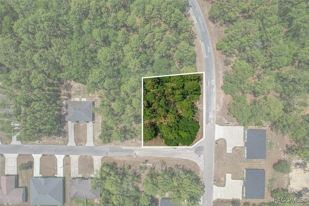 Great investment opportunity on this corner duplex lot in quiet Citrus Springs. A perfect spot for rental income or multi-family living, with easy access to Dunnellon amenities, the Rainbow River, shopping, and dining. A convenient, growing area for your next build.