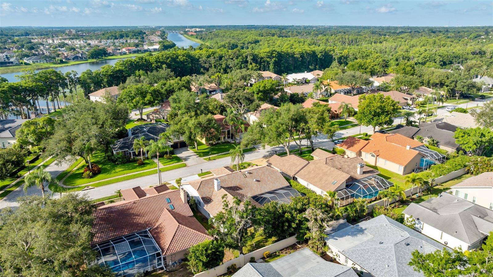 RESERVE AT LAKE TARPON THE - Residential