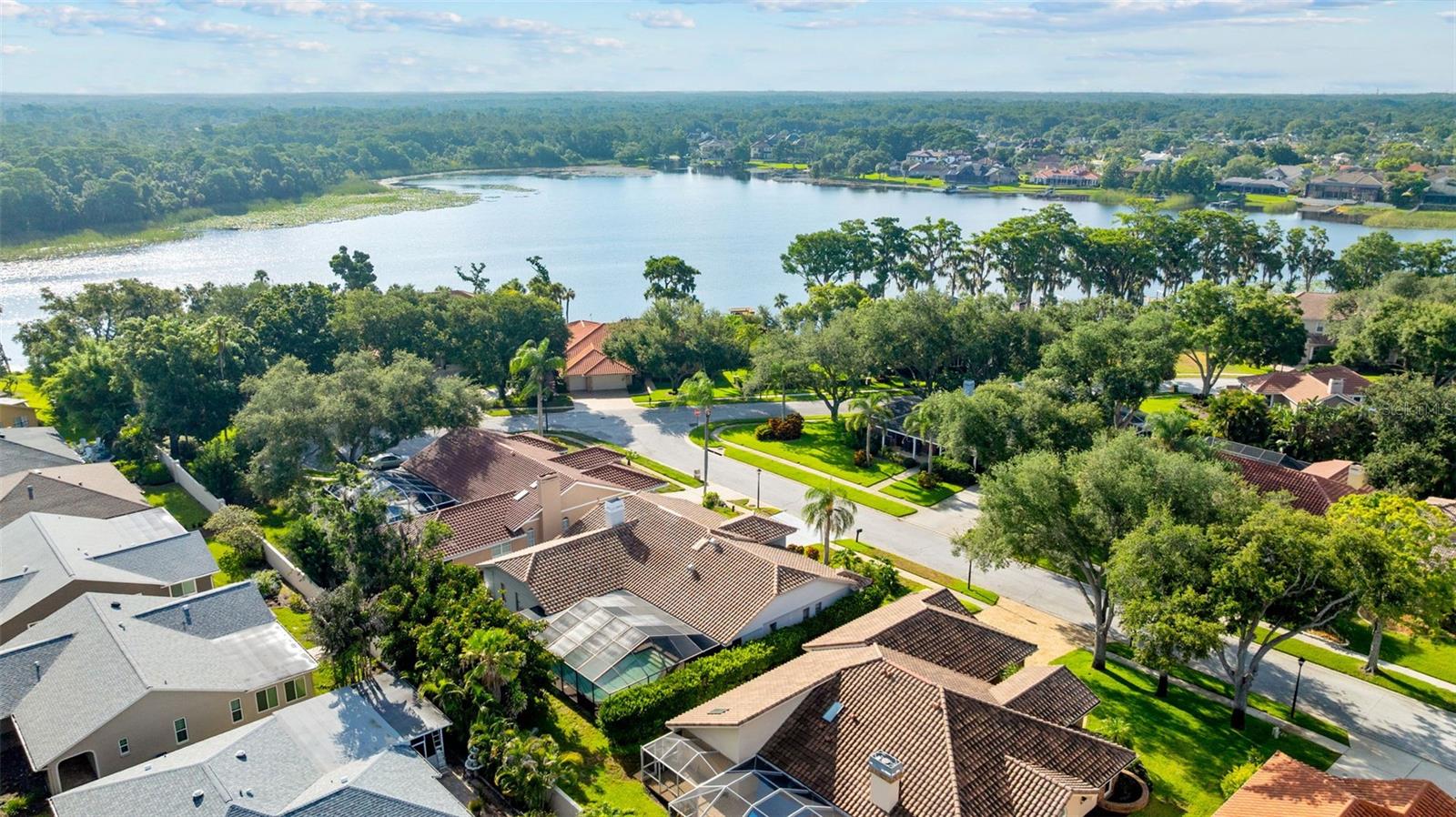 RESERVE AT LAKE TARPON THE - Residential