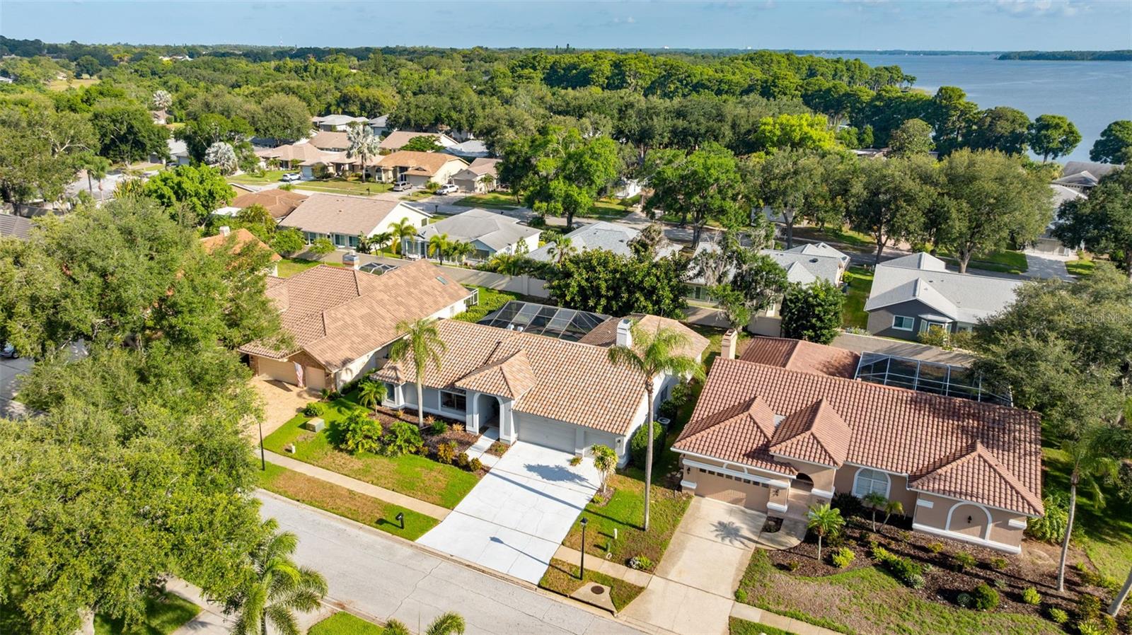 RESERVE AT LAKE TARPON THE - Residential