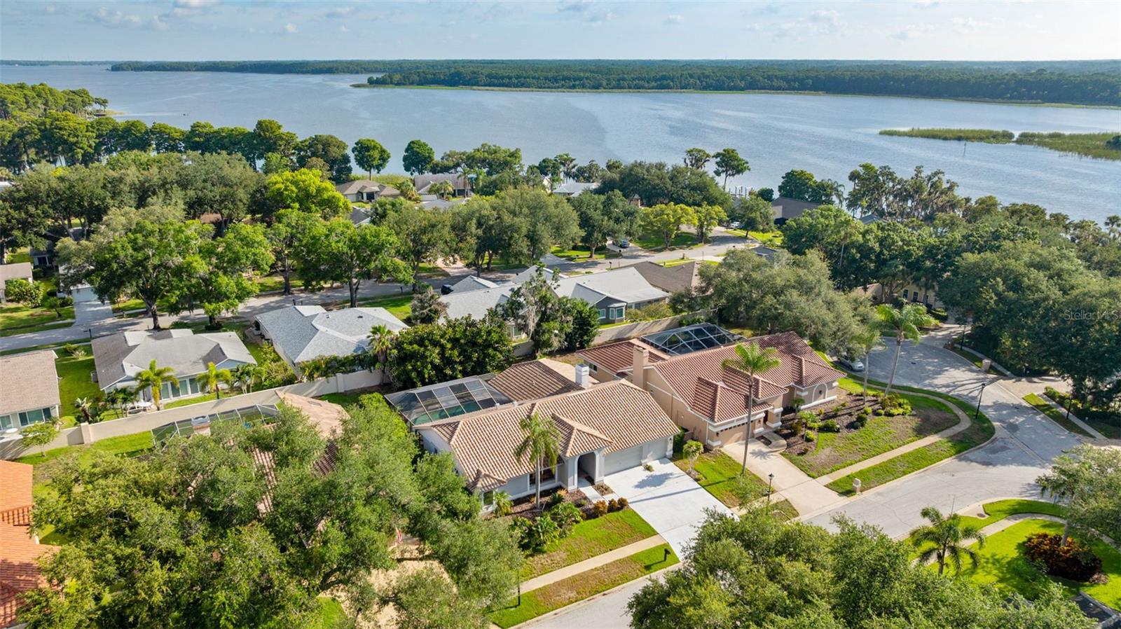 RESERVE AT LAKE TARPON THE - Residential