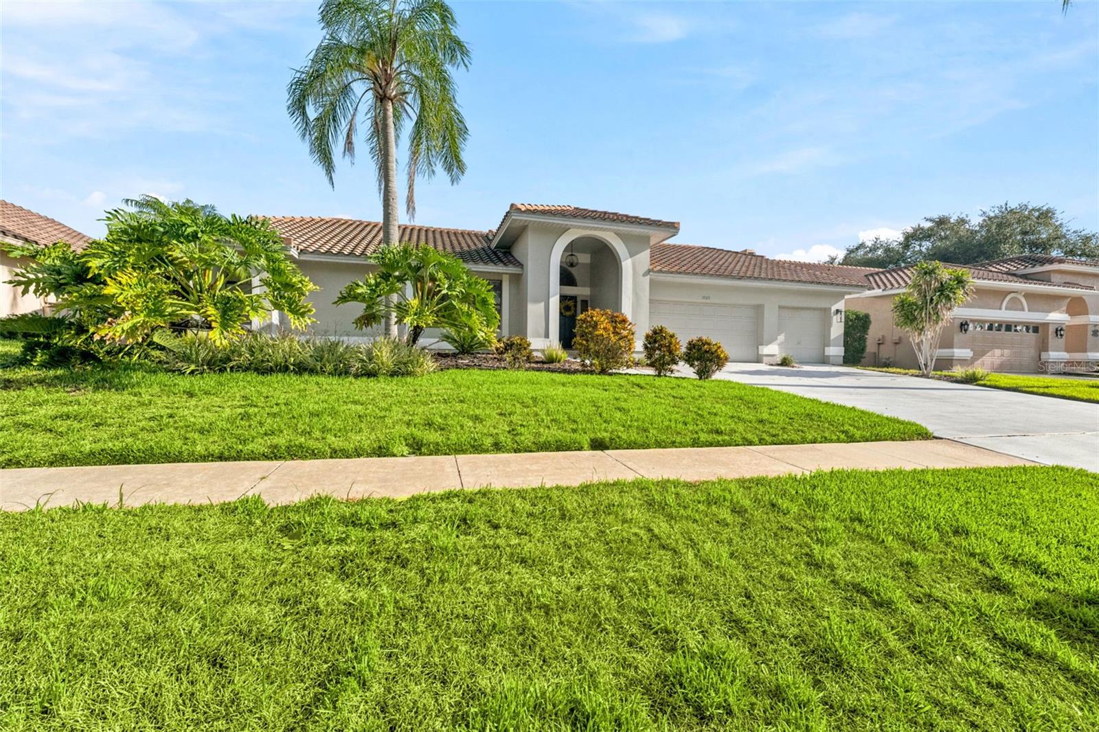 RESERVE AT LAKE TARPON THE - Residential