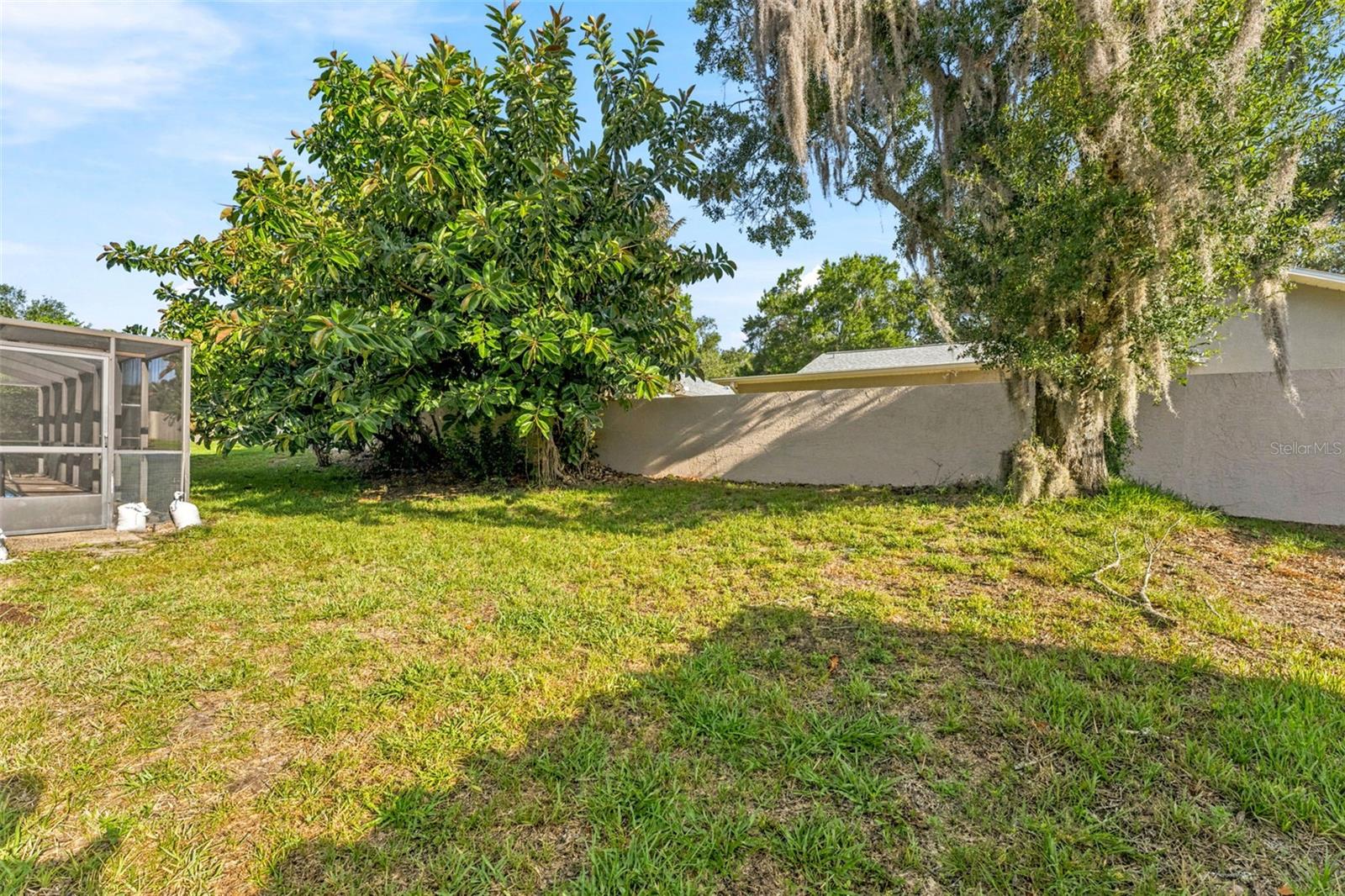 RESERVE AT LAKE TARPON THE - Residential