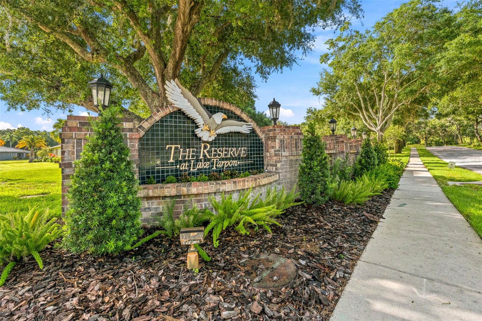 RESERVE AT LAKE TARPON THE - Residential