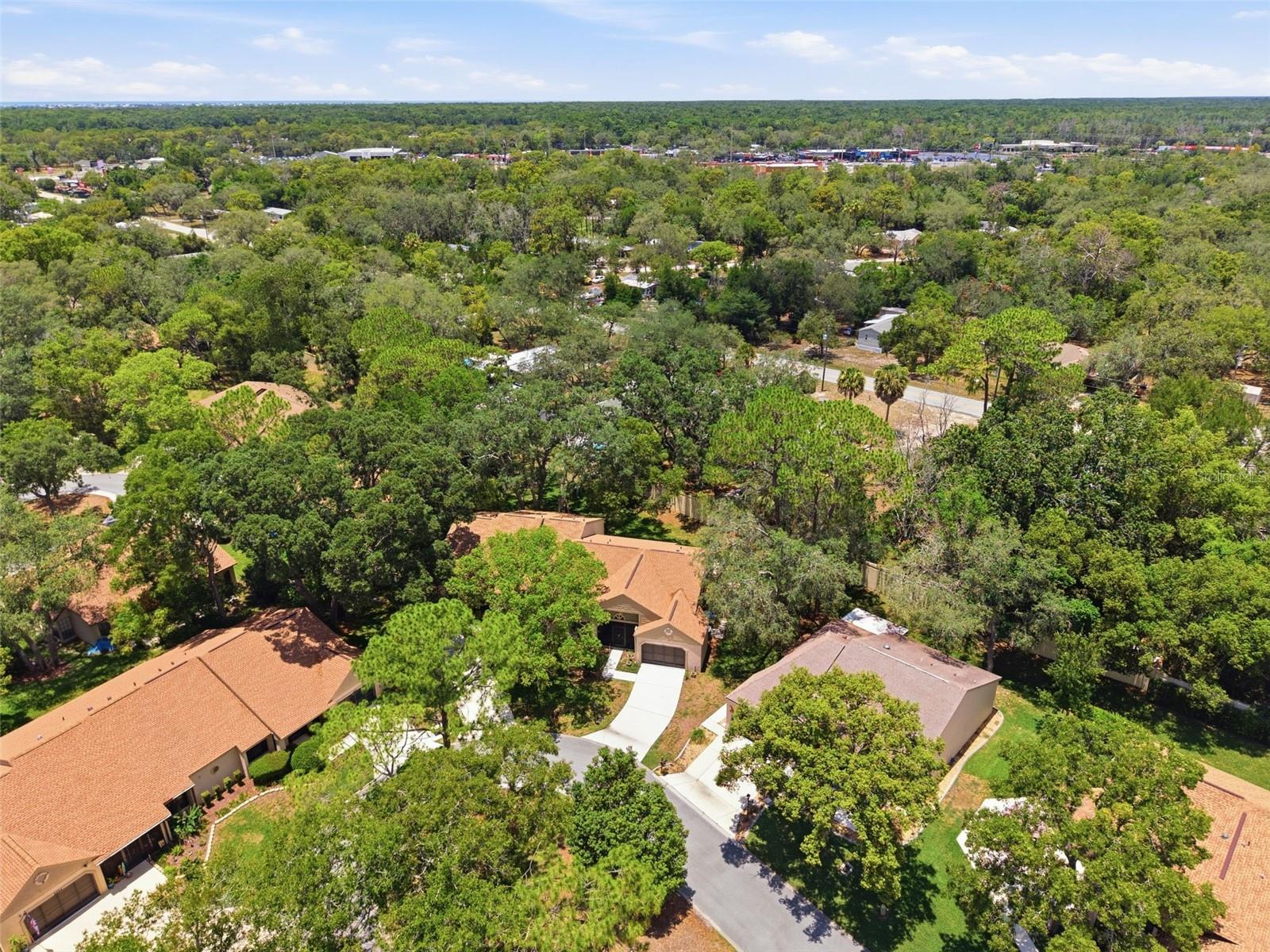TIMBER PINES - Residential