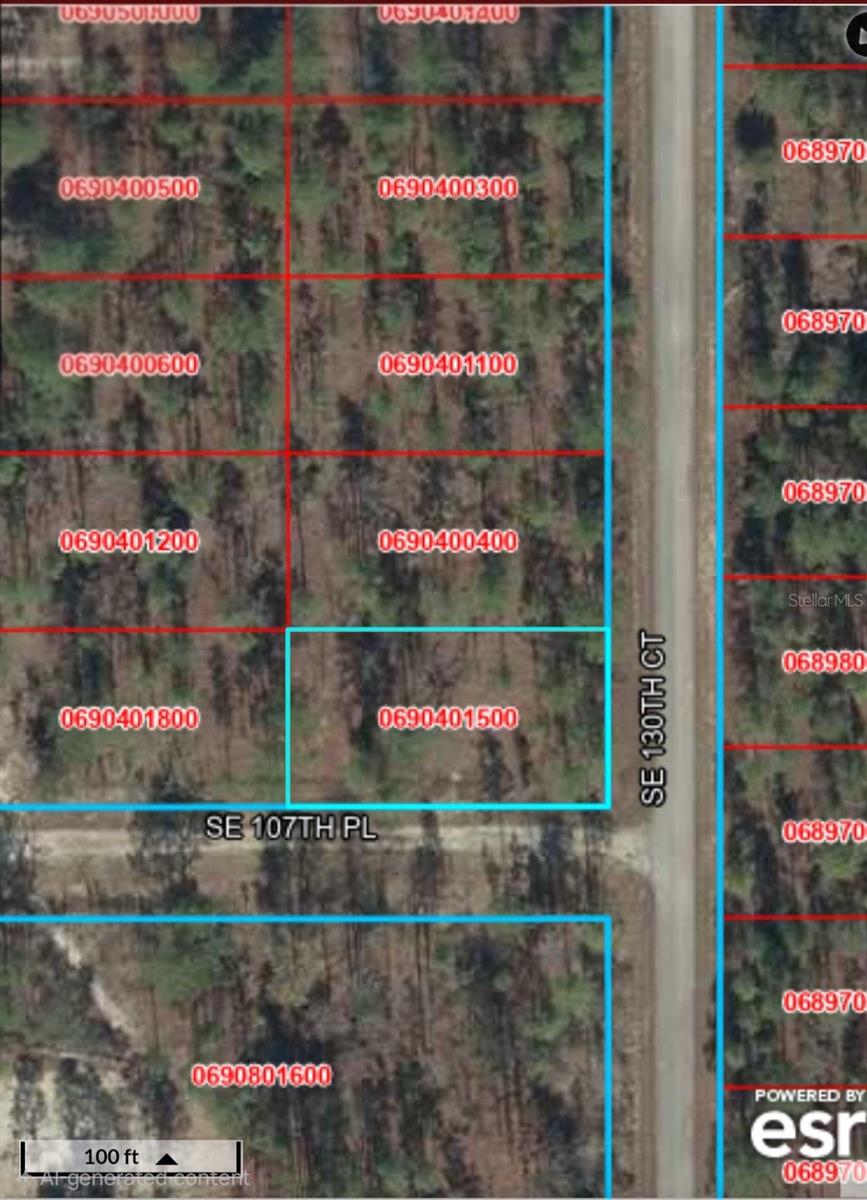 Build your dream home or invest in the heart of Florida's Nature Coast! This vacant lot is conveniently located near some of Florida's most popular natural attractions, including Rainbow Springs State Park, Crystal River, Silver Springs State Park, and the World Equestrian Center. Enjoy easy access to kayaking, paddleboarding, tubing, boating, fishing, hiking, swimming, and the opportunity to swim with manatees in nearby Crystal River. Conveniently located with access to Dunnellon, Ocala, Williston, and Gainesville, offering the perfect balance of peaceful country living and nearby shopping, dining, and entertainment. Whether you're ready to build now or invest for the future, this property offers outstanding potential. Buyers are encouraged to verify zoning, land use, utilities, flood zone, and all property information through their own independent due diligence.