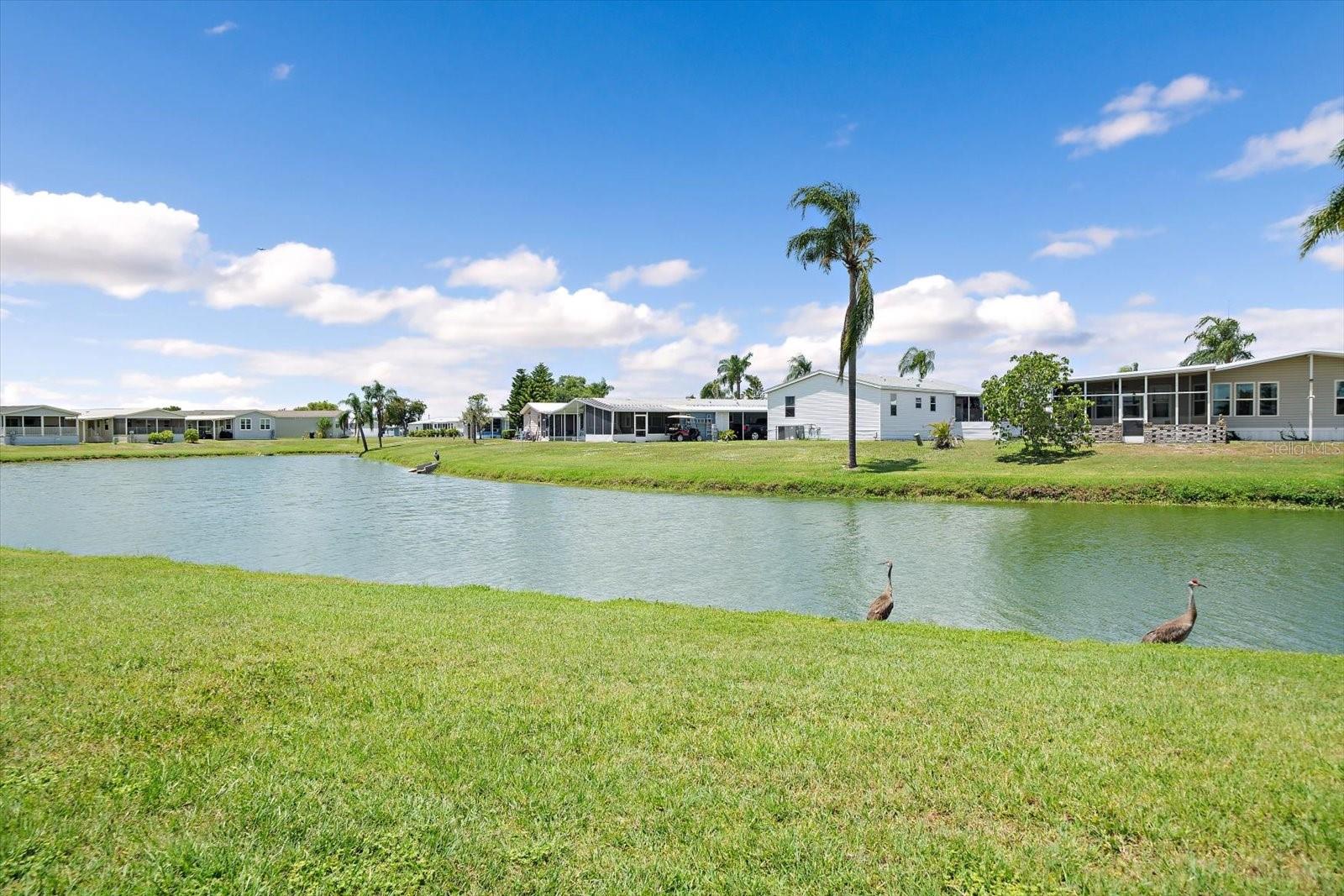 TERRA SIESTA MOBILE HOME PARK CO-OP - Residential